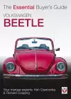 Vw Beetle cover