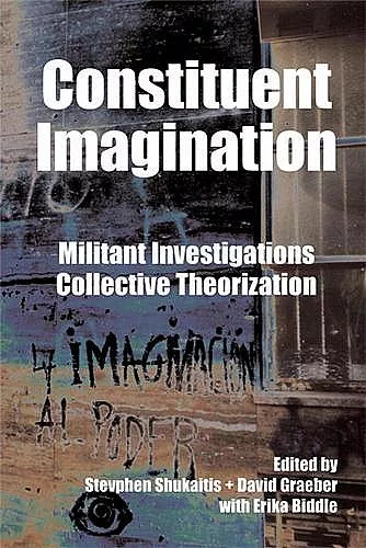 Constituent Imagination cover
