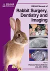 BSAVA Manual of Rabbit Surgery, Dentistry and Imaging cover