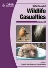 BSAVA Manual of Wildlife Casualties cover
