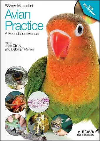 BSAVA Manual of Avian Practice: A Foundation Manual cover