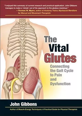 The Vital Glutes cover