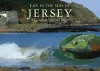 Sealife in Jersey cover