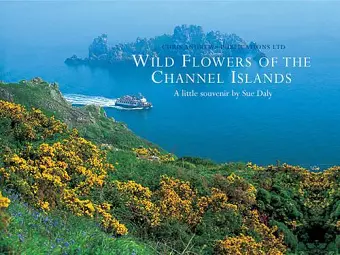 Wild Flowers of the Channel Islands Little Souvenir cover