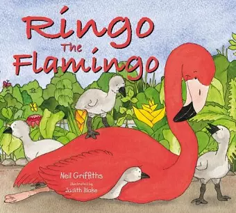 Ringo the Flamingo cover