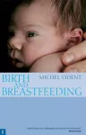 Birth and Breastfeeding cover