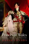 Princes of Wales cover