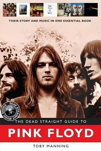 The Dead Straight Guide to Pink Floyd cover