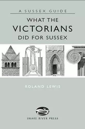 What the Victorians Did for Sussex cover