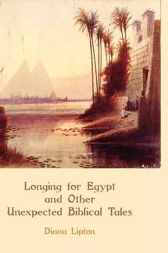 Longing for Egypt and Other Unexpected Biblical Tales cover