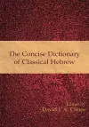 The Concise Dictionary of Classical Hebrew cover