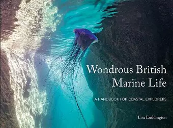 Wondrous British Marine Life cover