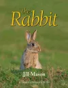 The Rabbit cover
