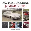 Factory Original Jaguar E-Type cover