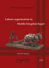 Labour organisation in Middle Kingdom Egypt cover