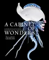 A Cabinet of Wonders cover