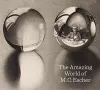 Amazing World of M.C. Escher cover