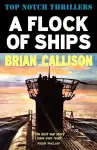 A Flock of Ships cover