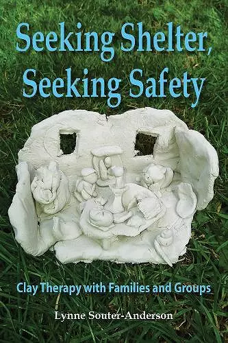 Seeking Shelter, Seeking Safety cover