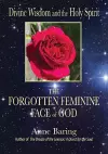 Divine Wisdom and the Holy Spirit: cover