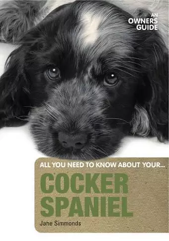 Cocker Spaniel cover