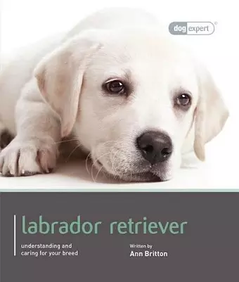 Labrador - Dog Expert cover