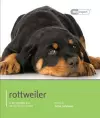 Rottweiler - Dog Expert cover