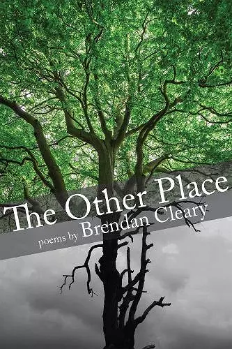 The Other Place cover