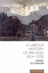 A Labour History of Ireland 1824-2000 cover