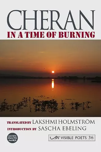 In a Time of Burning cover