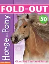 Fold-Out Poster Sticker Book: Horse & Pony cover