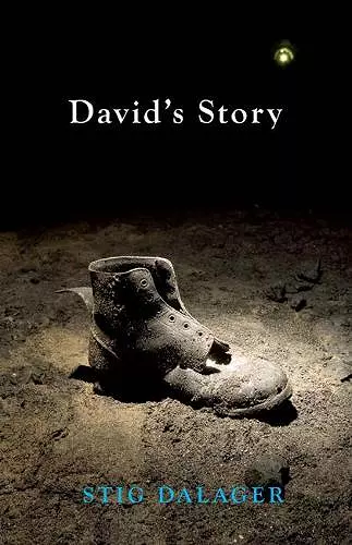 David's Story cover