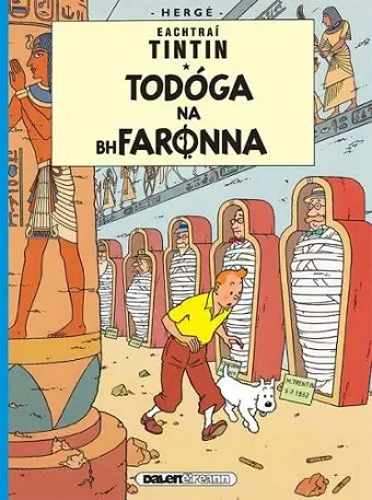 Tintin: Todoga Na Bhfaronna (Irish) cover