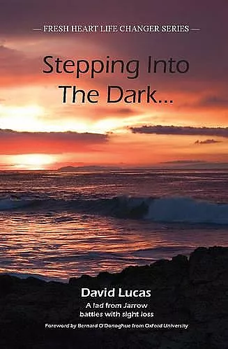 Stepping Into The Dark cover