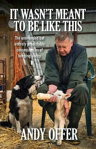 It Wasn't Meant To Be Like This cover