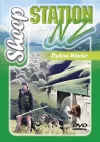 Sheep Station NZ cover