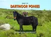 Spirit of Dartmoor Ponies cover