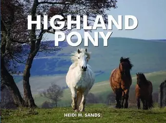 Spirit of the Highland Pony cover