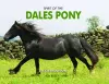 Spirit of the Dales Pony cover