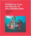 Damien Hirst: Treasures from The Wreck of the Unbelievable cover