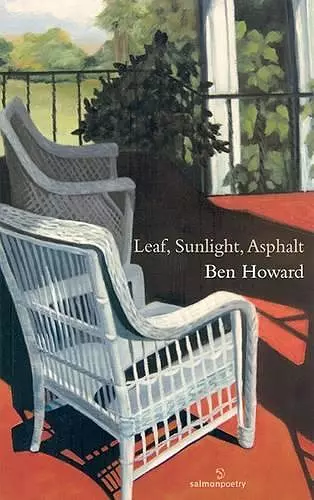 Leaf, Sunlight, Asphalt cover
