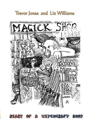Diary of a Witchcraft Shop cover