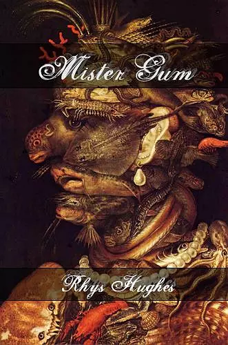 Mister Gum cover