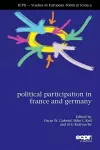 Political Participation in France and Germany cover