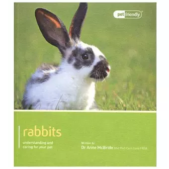 Rabbit - Pet Friendly cover