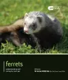 Ferrets - Pet Friendly cover