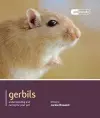 Gerbils - Pet Friendly cover