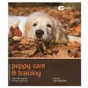 Puppy Training & Care - Pet Friendly cover