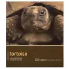 Tortoise - Pet Expert cover