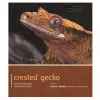 Crested Gecko - Pet Expert cover